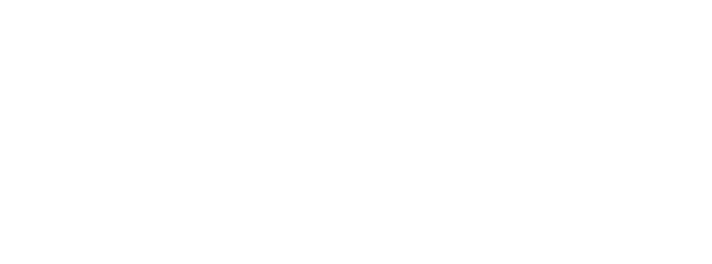 BISON Training